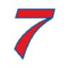 BSVN logo