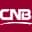 CCNE logo