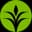 CF logo