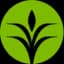 CF logo