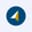 COSO logo