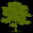CYH logo