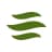 ENSG logo