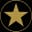 FNV logo