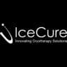 ICCM logo