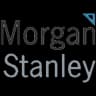 MS logo