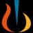 NVS logo