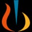 NVS logo