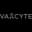PCVX logo