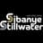 SBSW logo