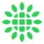 SHLS logo