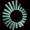 SLNO logo
