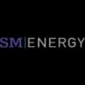 SM logo