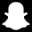 SNAP logo