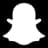 SNAP logo