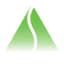SSBI logo