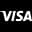 V logo