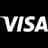 V logo