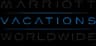 VAC logo