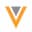 VEEV logo