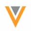 VEEV logo